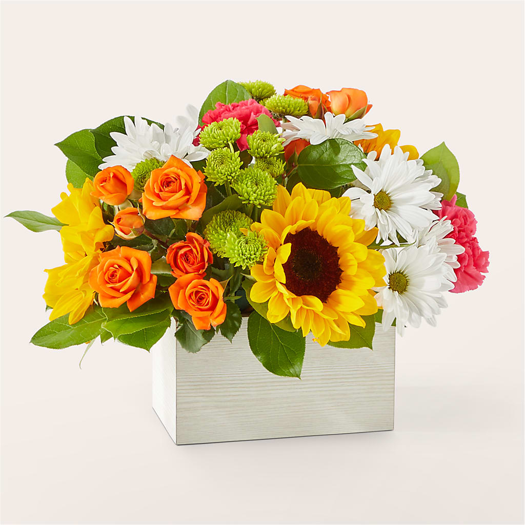 Sun-drenched Blooms Box Bouquet – Talia Flowers, Ottawa ON