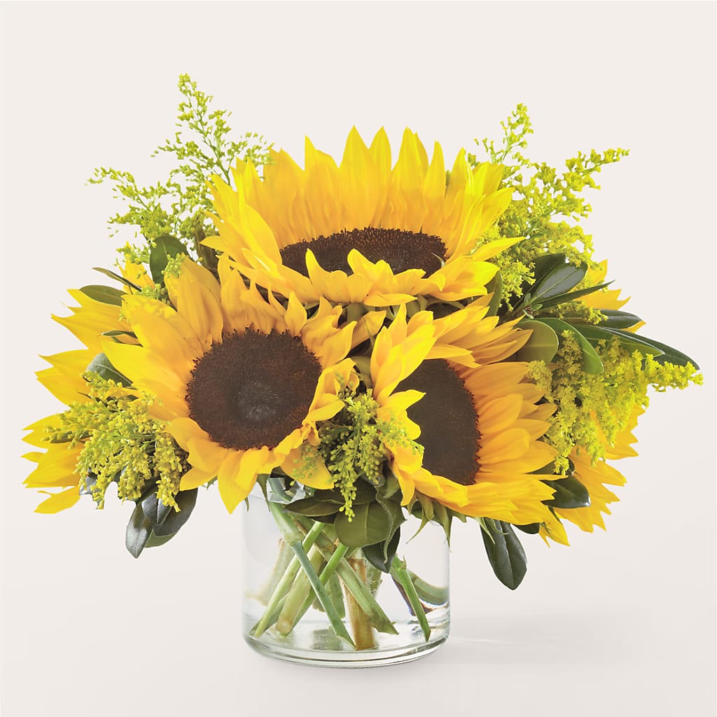 Beaming Sunflower Bouquet – Talia Flowers, Ottawa ON