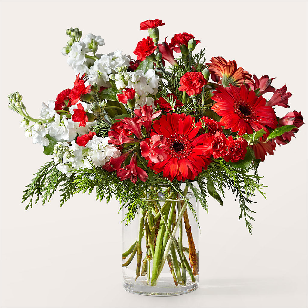 Holidaisy Bouquet – Talia Flowers, Ottawa ON