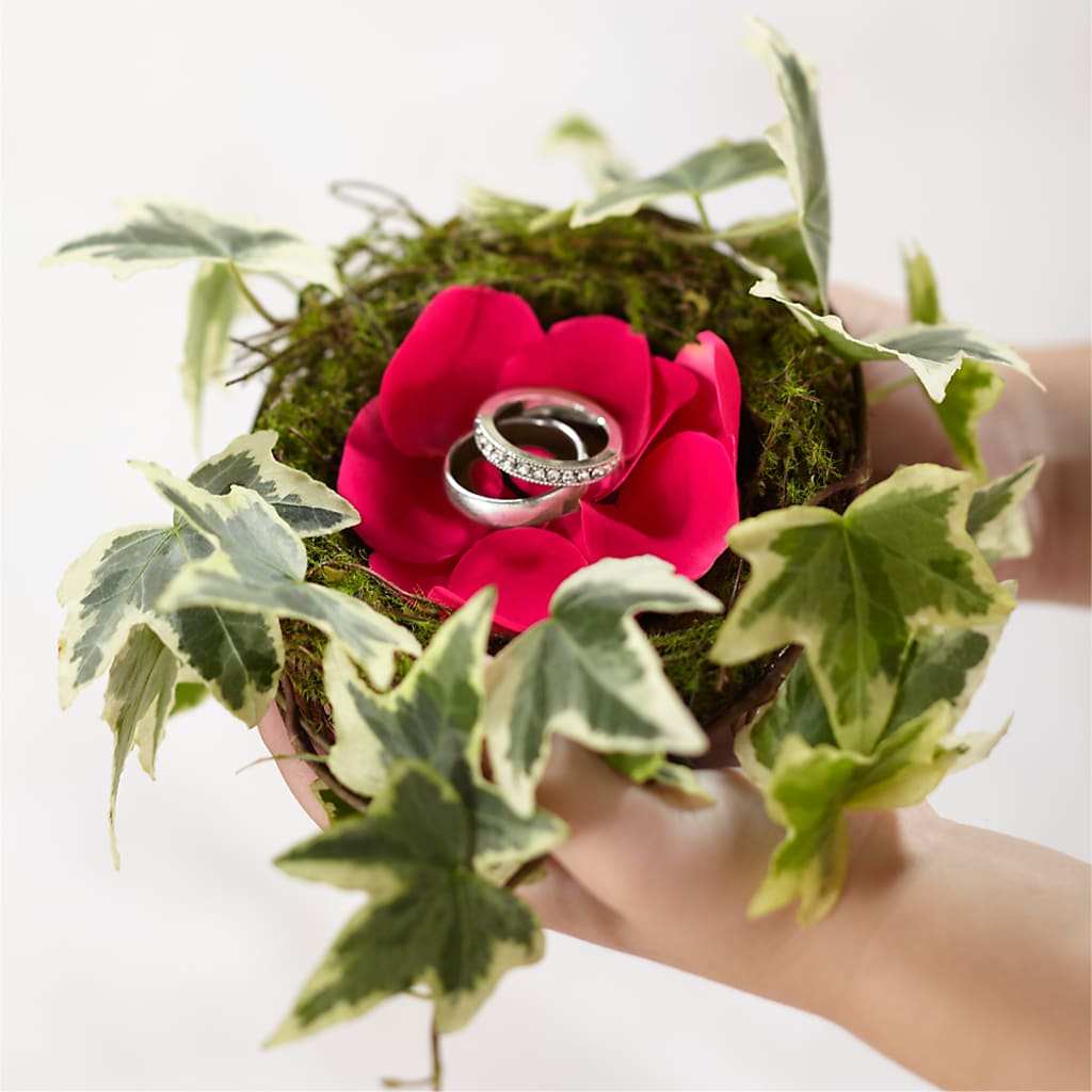 Lila Rose Ring Nest – Talia Flowers, Ottawa ON