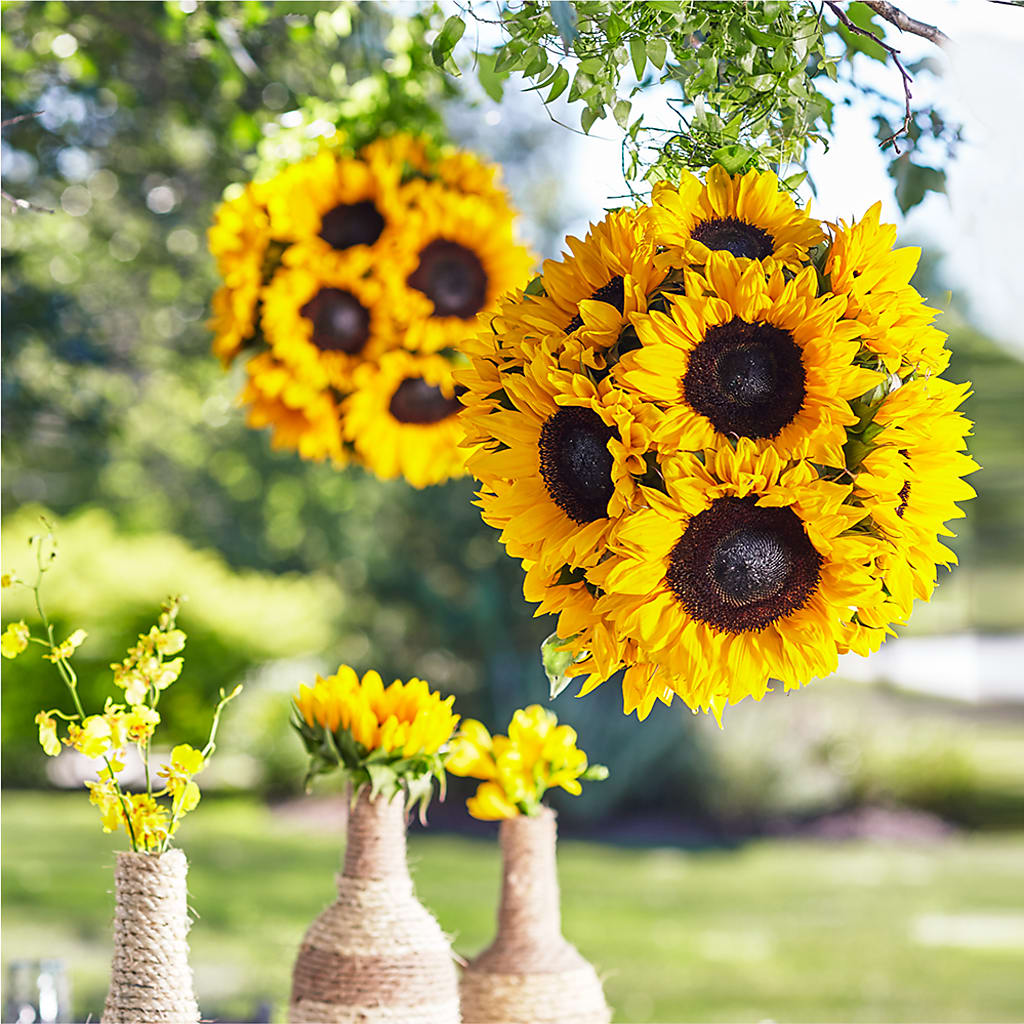 Sublime Garden Hanging Arrangement – Talia Flowers, Ottawa ON