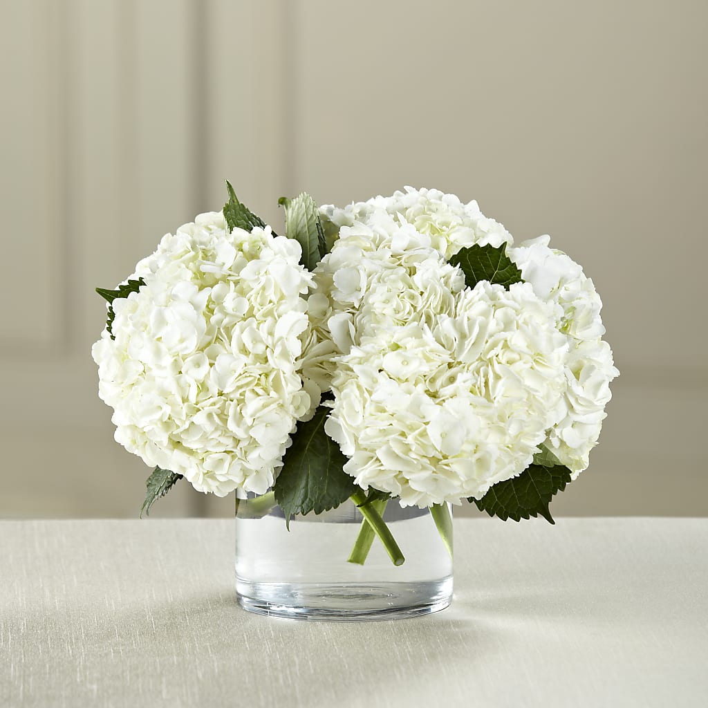 White Hydrangea Bouquet – Talia Flowers, Ottawa ON