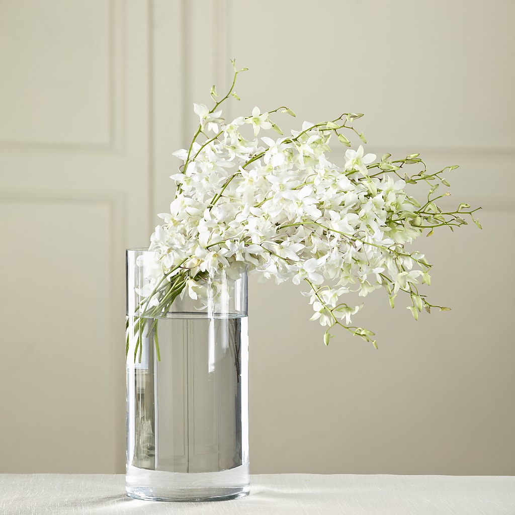 White Dendrobium Bouquet – Talia Flowers, Ottawa ON