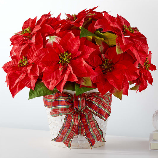Happiest Holidays Poinsettia –  Talia Flowers, Ottawa ON