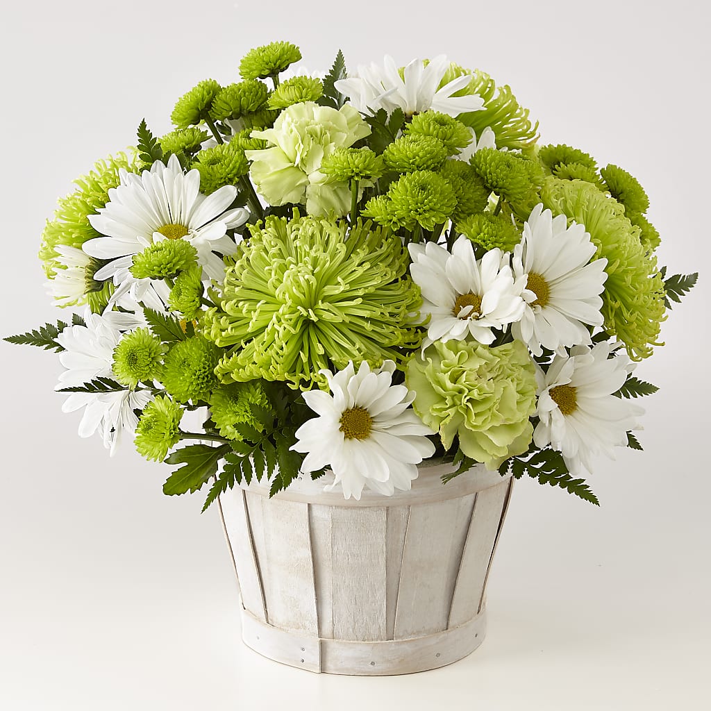 Lucky Charm Basket (Standard) –  Talia Flowers, Ottawa ON