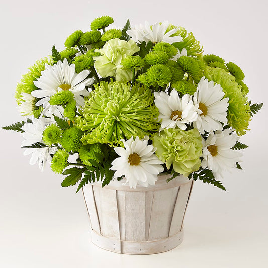 Lucky Charm Basket (Standard) –  Talia Flowers, Ottawa ON