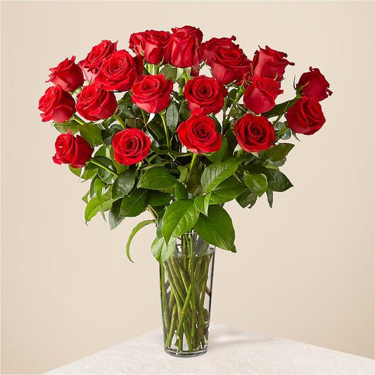 Long Stem Red Rose Bouquet –  Talia Flowers, Ottawa ON