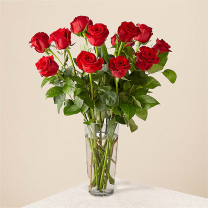 Long Stem Red Rose Bouquet –  Talia Flowers, Ottawa ON
