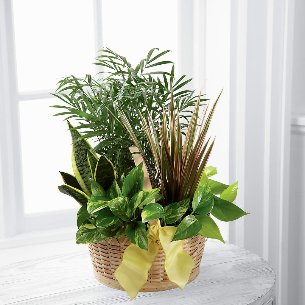 French Garden –  Talia Flowers, Ottawa ON