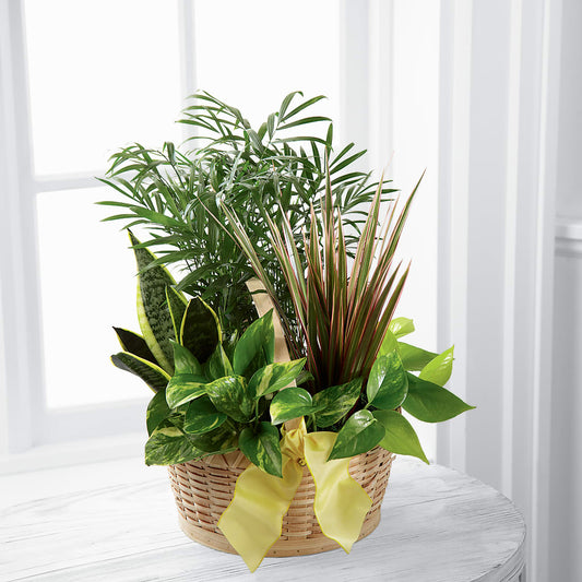 French Garden –  Talia Flowers, Ottawa ON