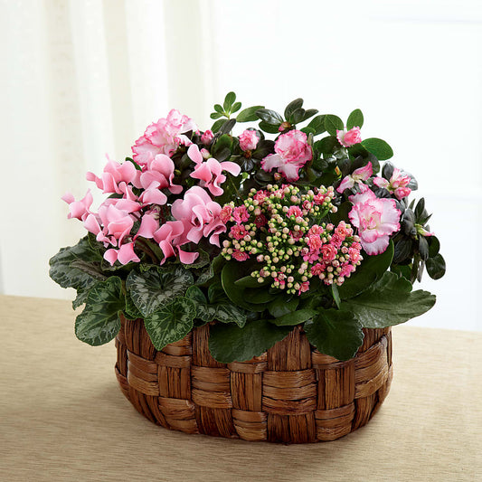 Pink Assortment –  Talia Flowers, Ottawa ON
