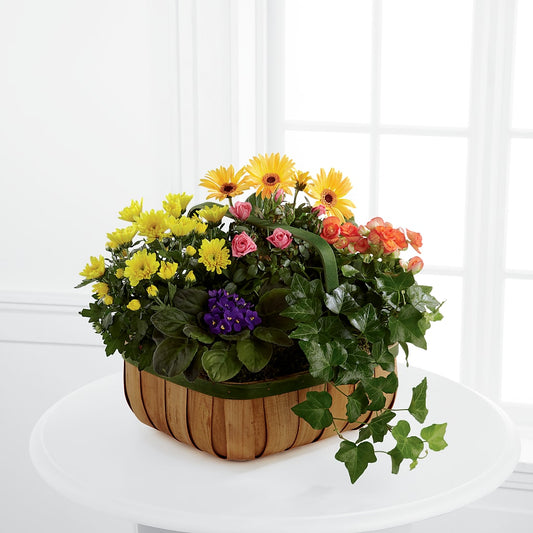 Gentle Blossoms Basket –  Talia Flowers, Ottawa ON