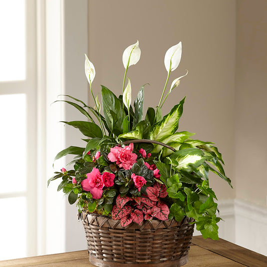 Dream in Pink Dishgarden –  Talia Flowers, Ottawa ON