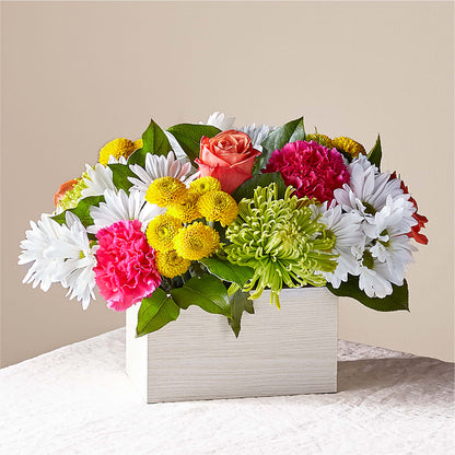 Sorbet Bouquet –  Talia Flowers, Ottawa ON