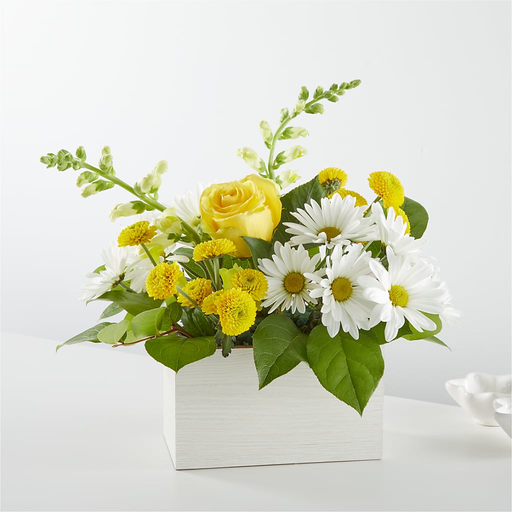 Sun Salutation Box Bouquet –  Talia Flowers, Ottawa ON