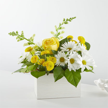 Sun Salutation Box Bouquet –  Talia Flowers, Ottawa ON