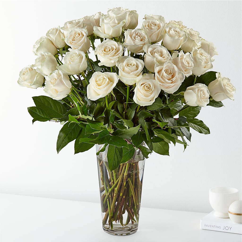 Long Stem White Rose Bouquet –  Talia Flowers, Ottawa ON