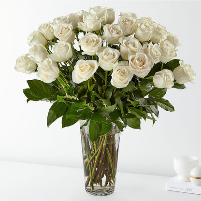 Long Stem White Rose Bouquet –  Talia Flowers, Ottawa ON