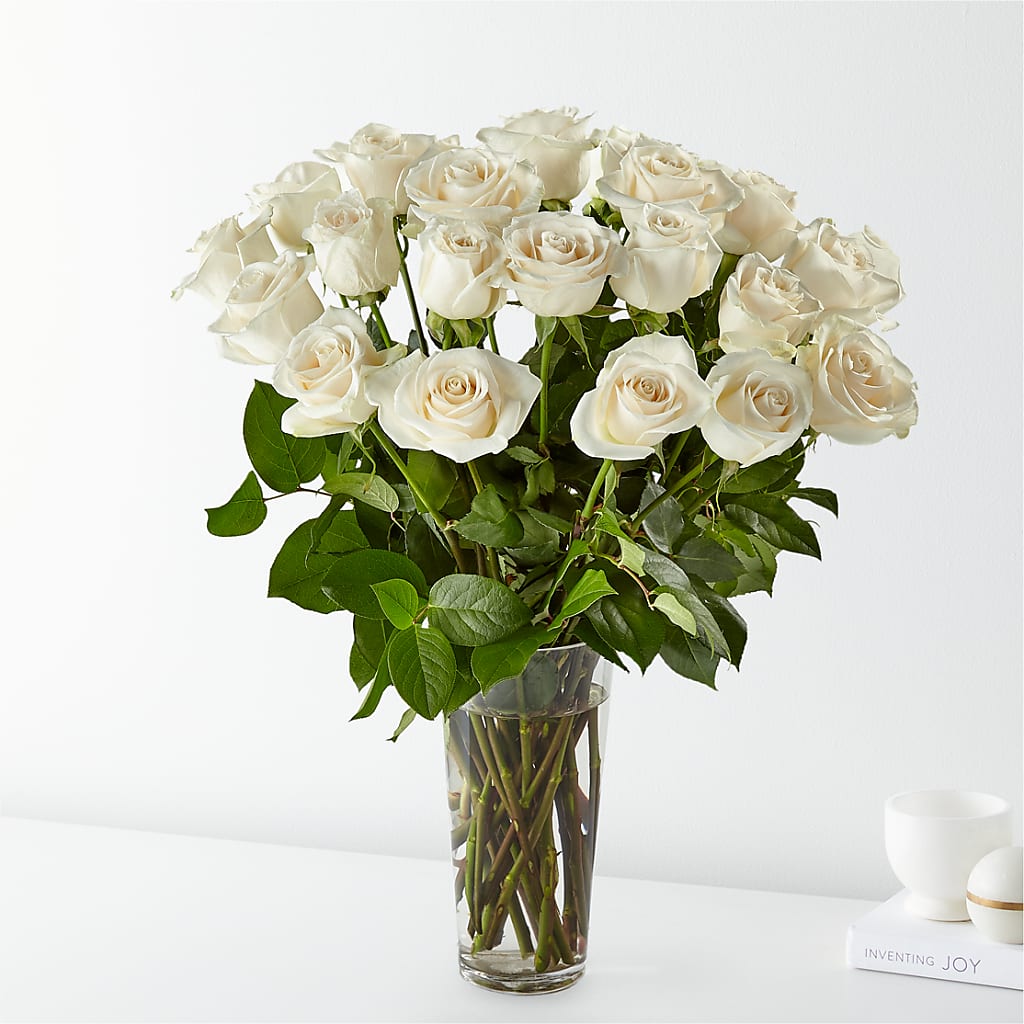 Long Stem White Rose Bouquet –  Talia Flowers, Ottawa ON