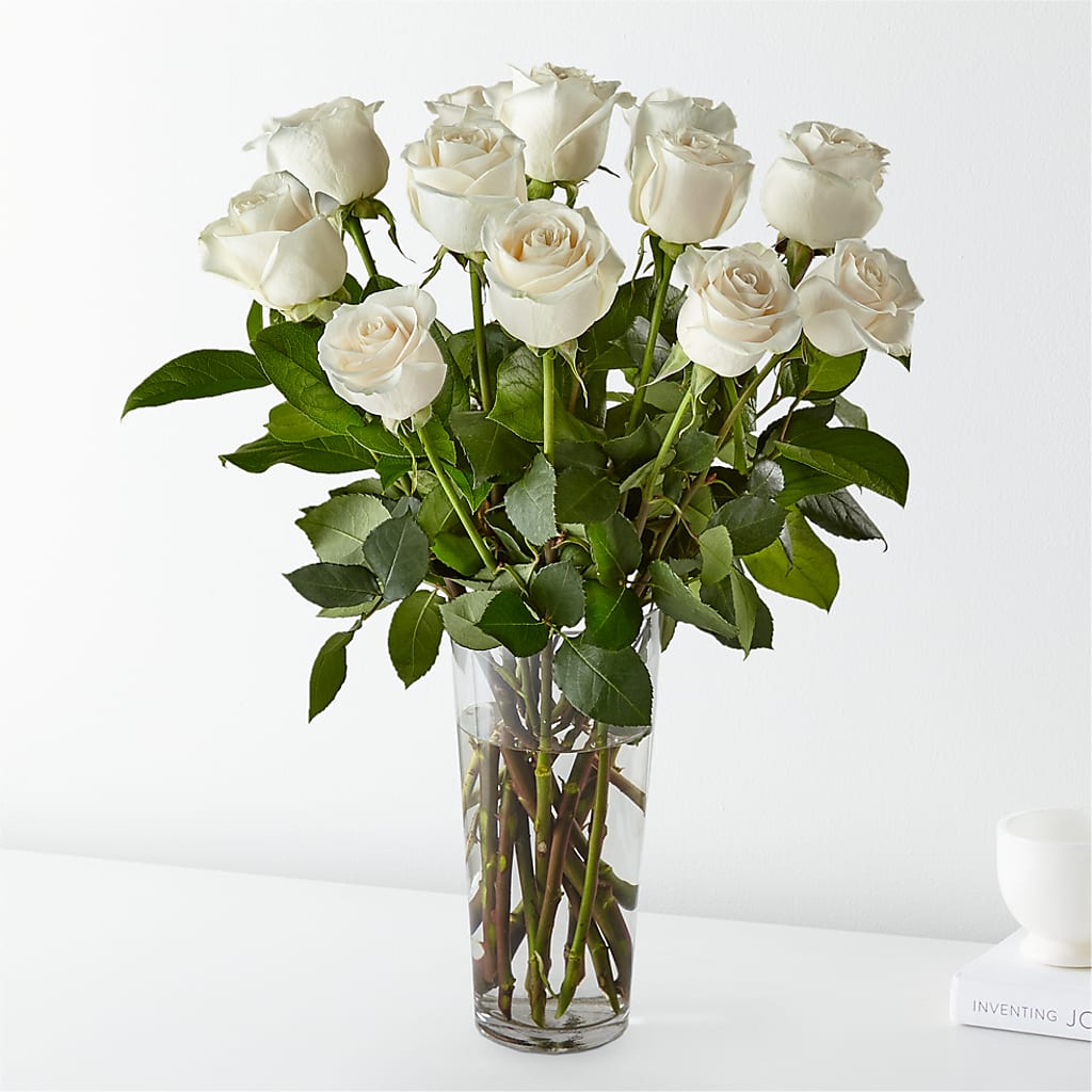 Long Stem White Rose Bouquet –  Talia Flowers, Ottawa ON