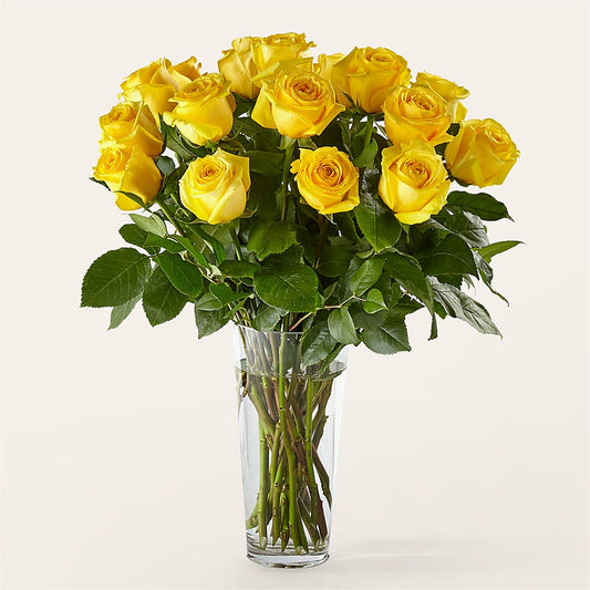 Long Stem Yellow Rose Bouquet –  Talia Flowers, Ottawa ON