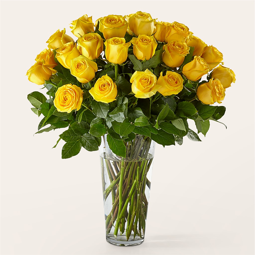 Long Stem Yellow Rose Bouquet –  Talia Flowers, Ottawa ON