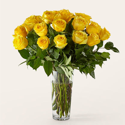 Long Stem Yellow Rose Bouquet –  Talia Flowers, Ottawa ON