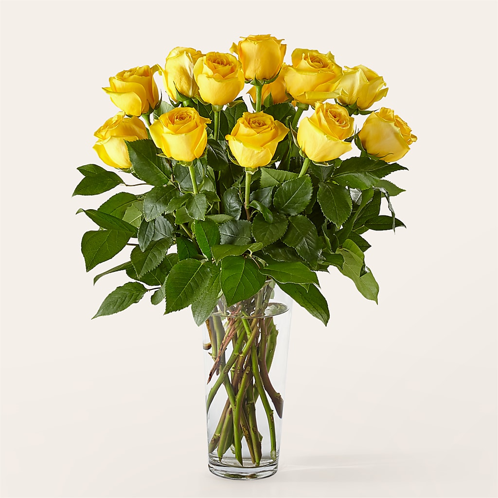 Long Stem Yellow Rose Bouquet –  Talia Flowers, Ottawa ON