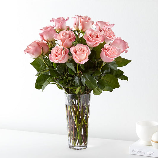 Long Stem Pink Rose Bouquet –  Talia Flowers, Ottawa ON