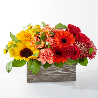 Autumn Orchard Bouquet –  Talia Flowers, Ottawa ON