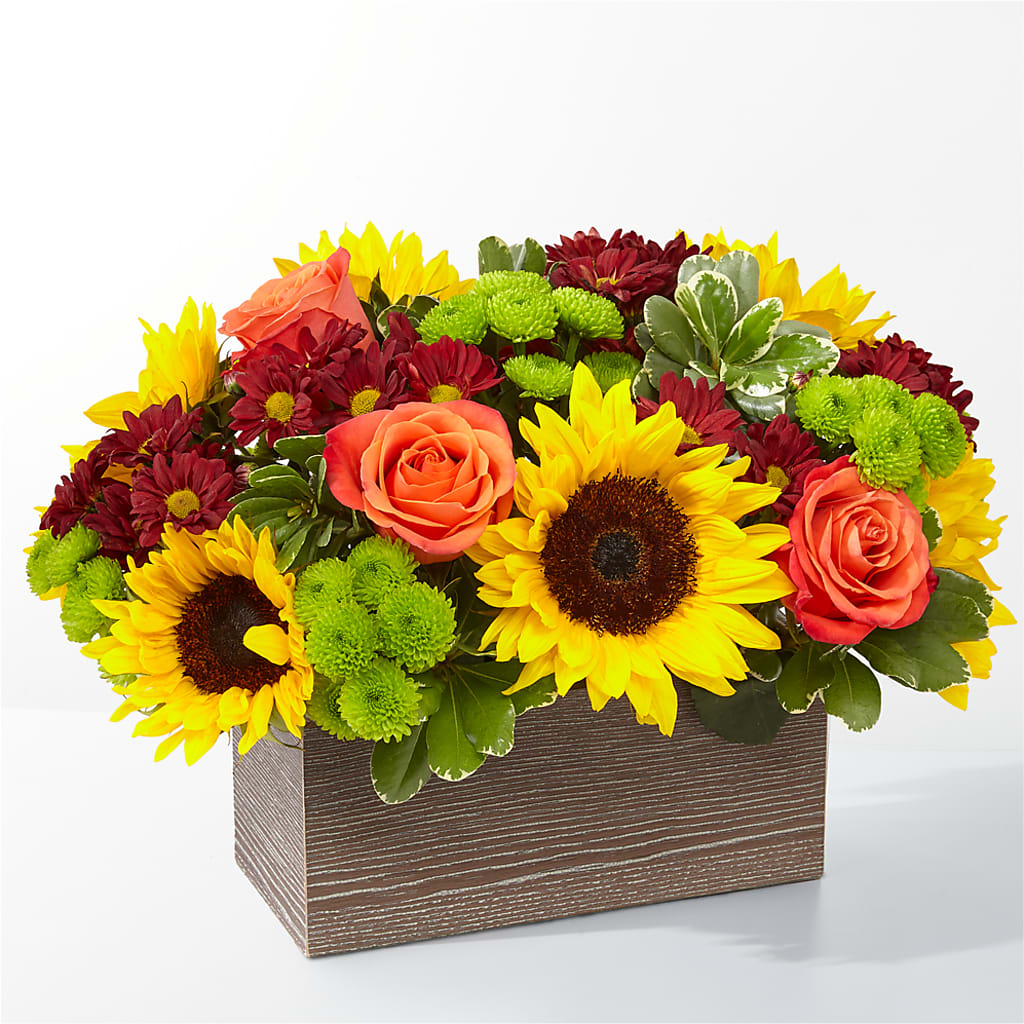 Happy Harvest Garden –  Talia Flowers, Ottawa ON