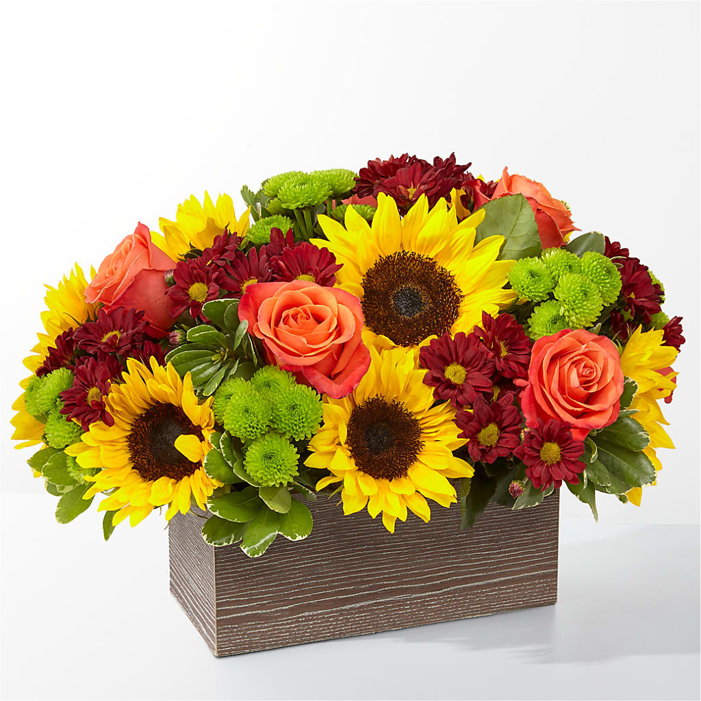 Happy Harvest Garden –  Talia Flowers, Ottawa ON