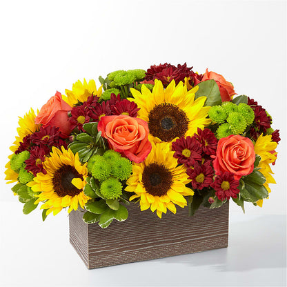 Happy Harvest Garden –  Talia Flowers, Ottawa ON