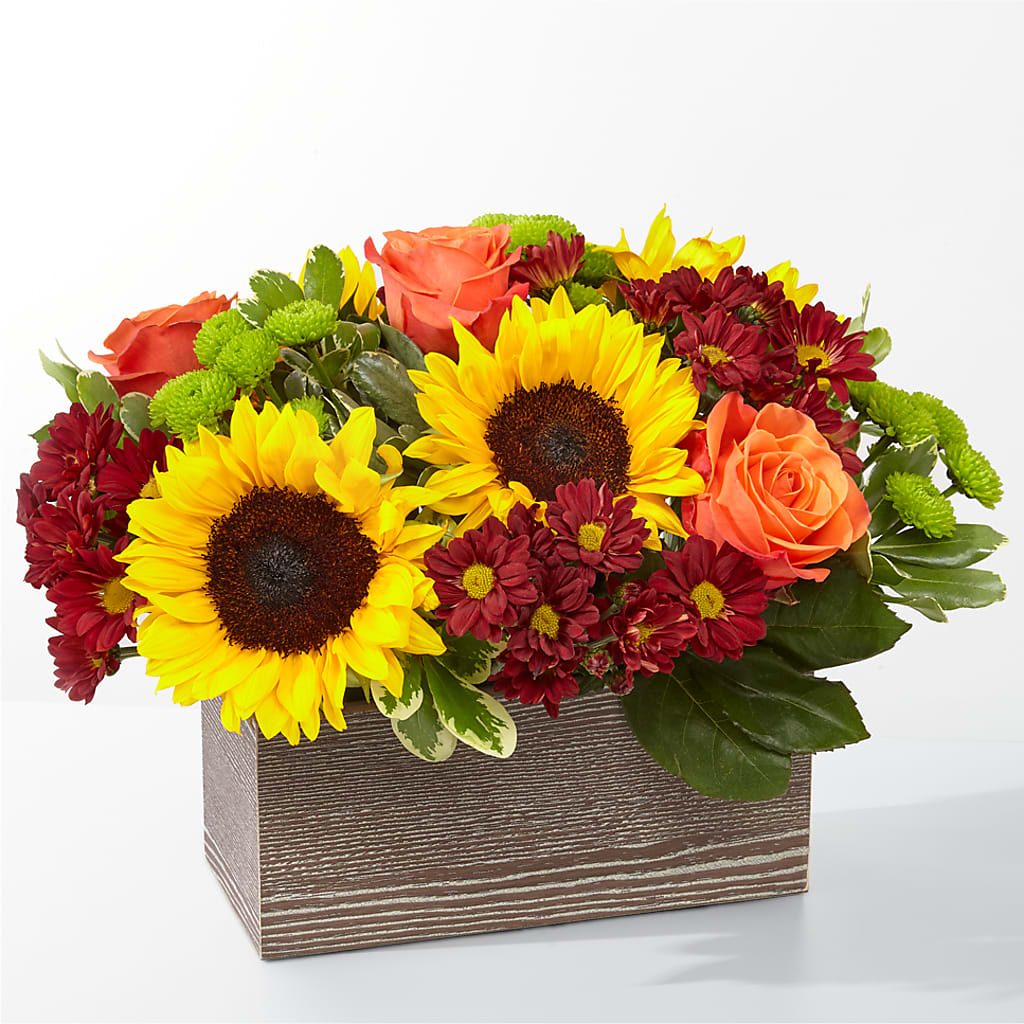 Happy Harvest Garden –  Talia Flowers, Ottawa ON