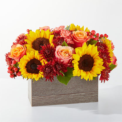 Fresh Cider Bouquet –  Talia Flowers, Ottawa ON