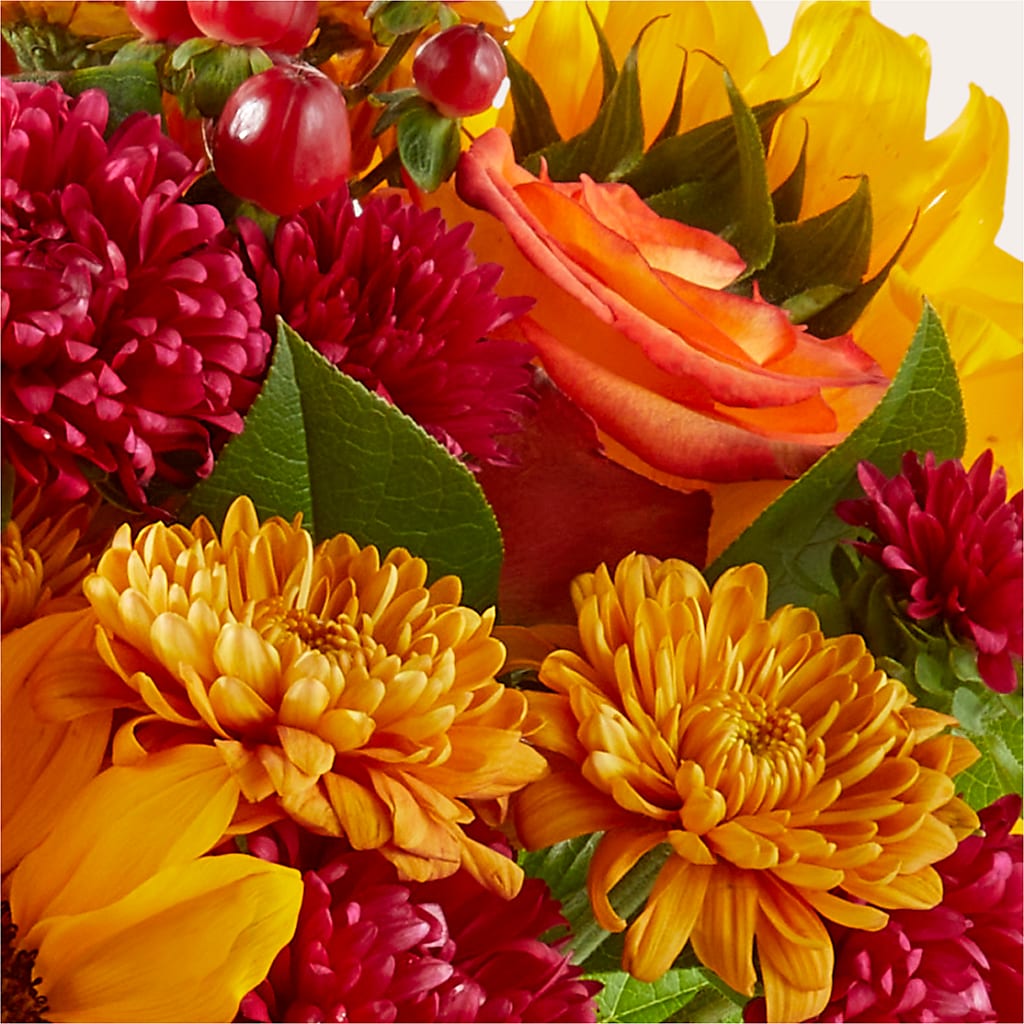Sweater Season - A Florist Original –  Talia Flowers, Ottawa ON