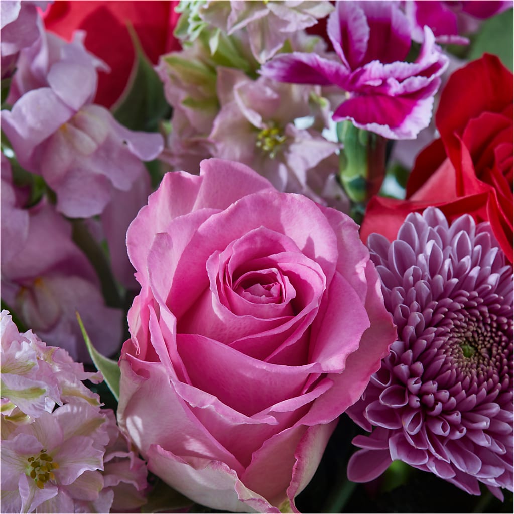 Better Together - A Luxury Florist Original –  Talia Flowers, Ottawa ON