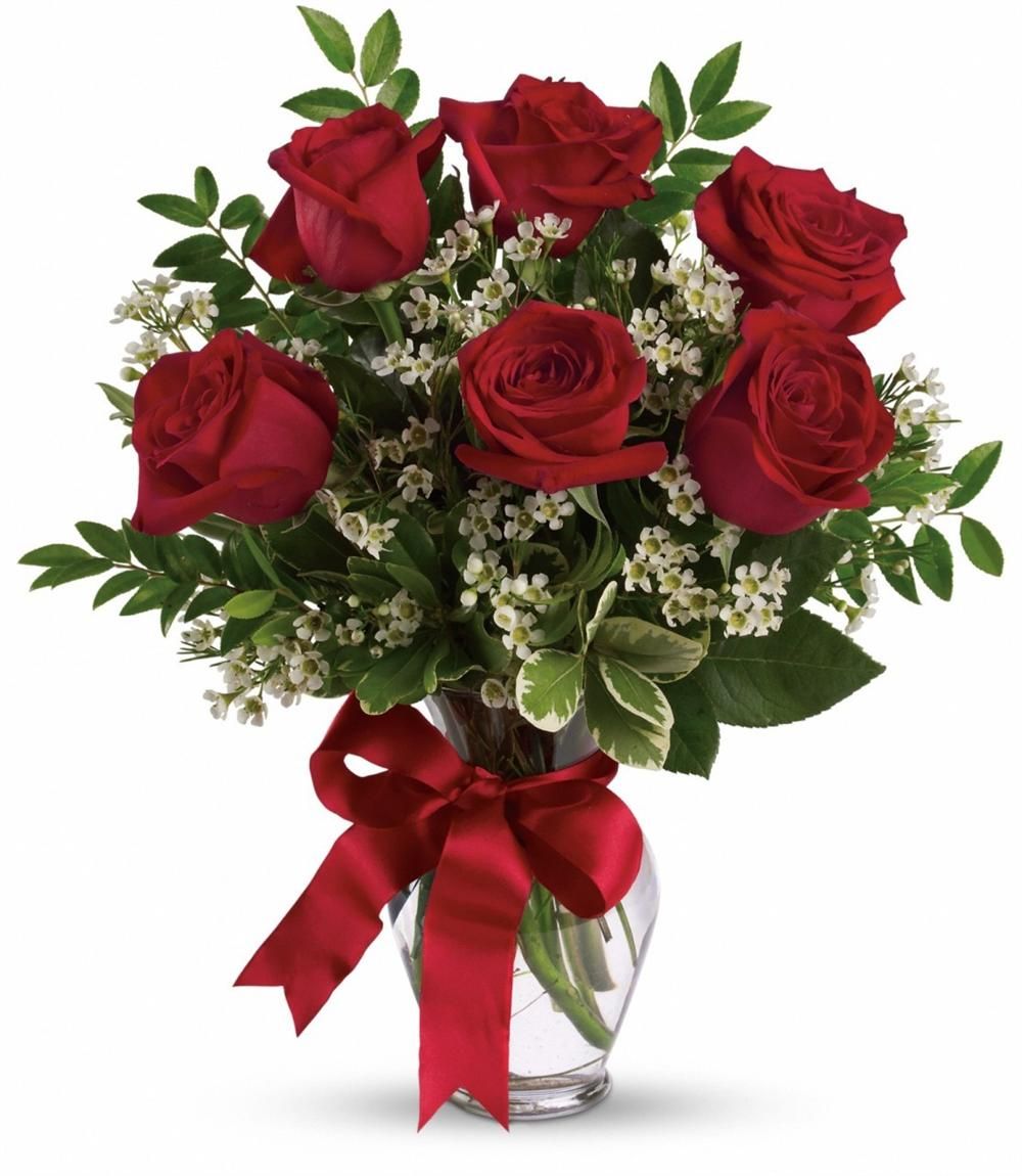 6 red roses –  Talia Flowers, Ottawa ON
