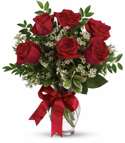 6 red roses –  Talia Flowers, Ottawa ON