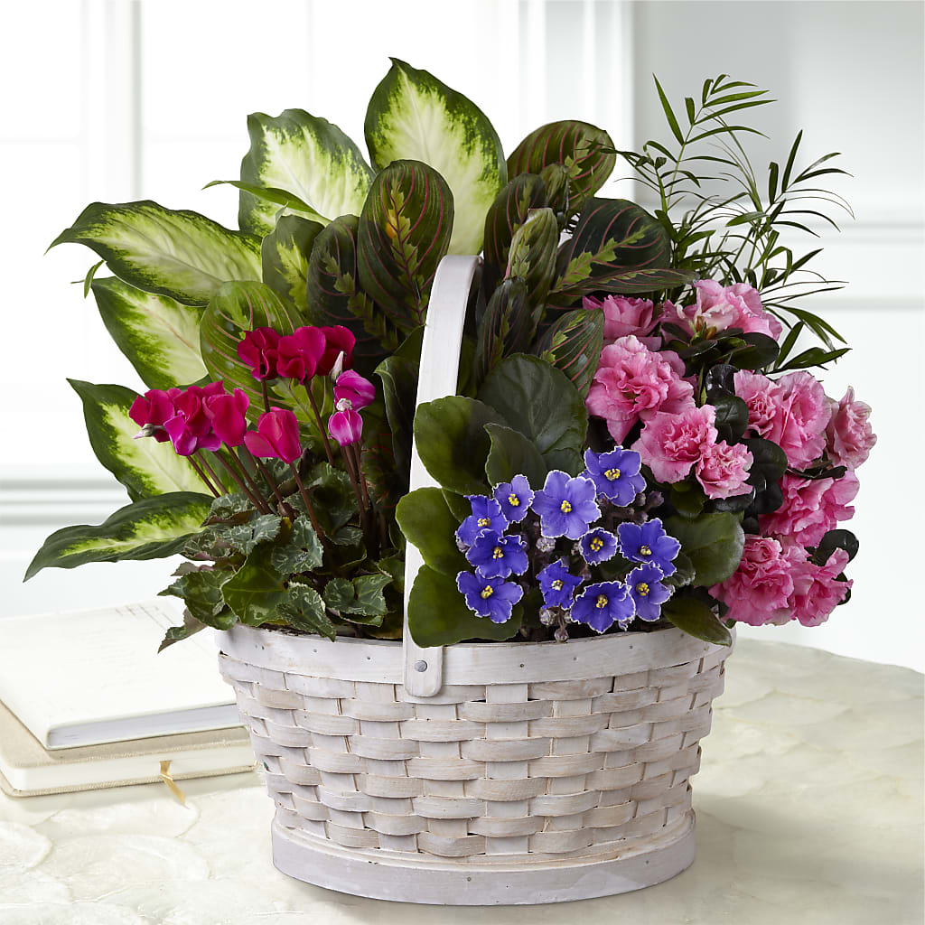 Peaceful Garden Planter –  Talia Flowers, Ottawa ON