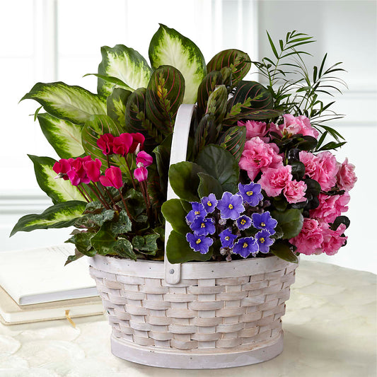 Peaceful Garden Planter –  Talia Flowers, Ottawa ON
