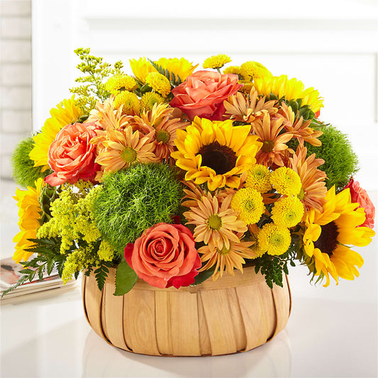 Harvest Sunflower Basket –  Talia Flowers, Ottawa ON