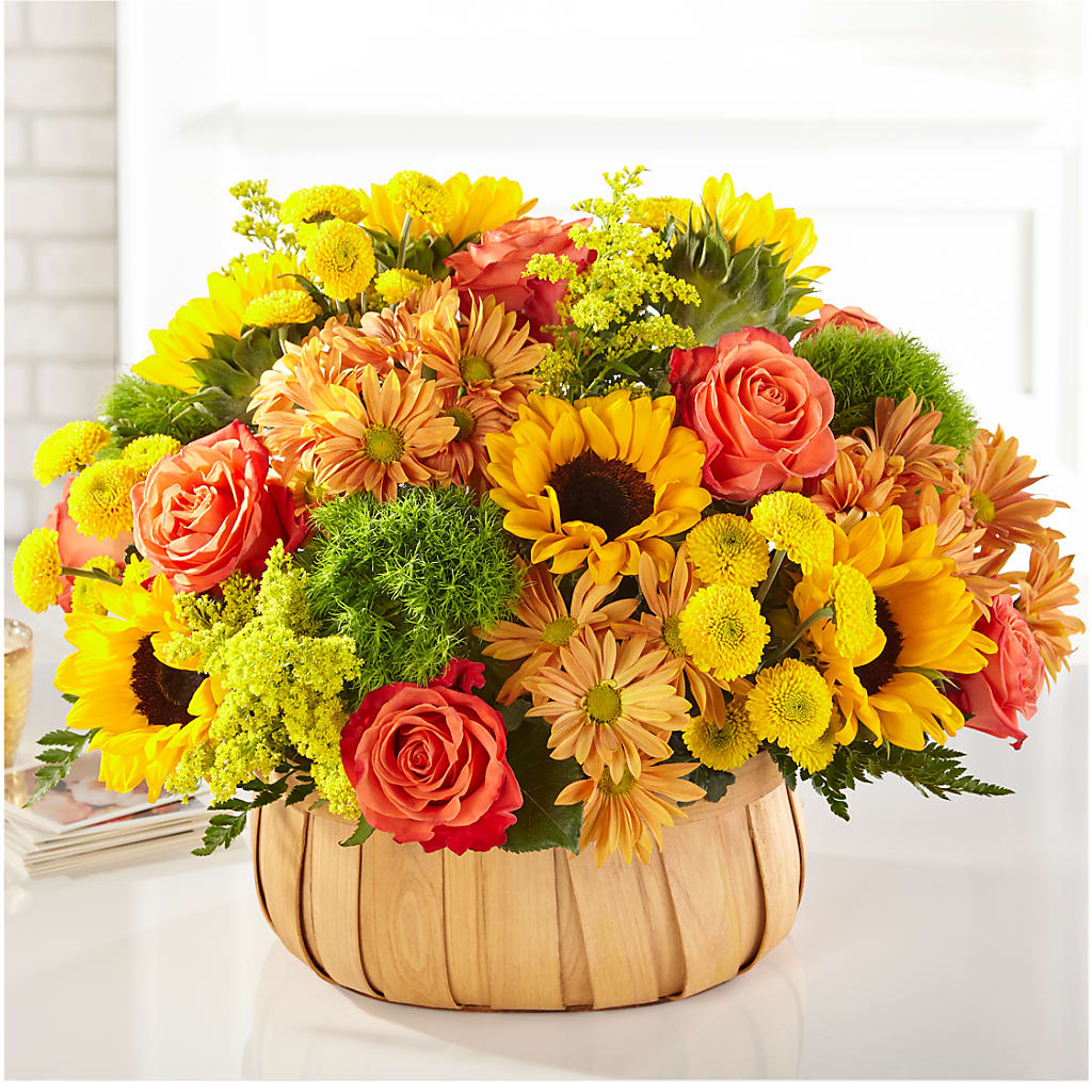 Harvest Sunflower Basket –  Talia Flowers, Ottawa ON