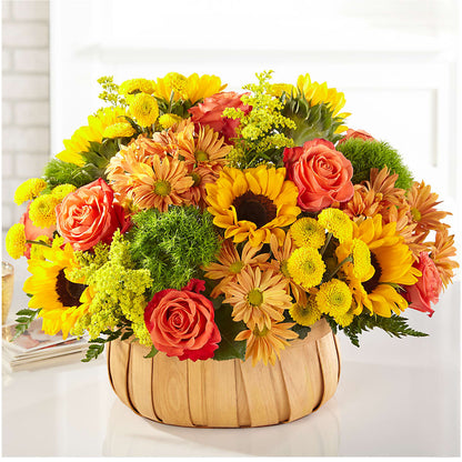 Harvest Sunflower Basket –  Talia Flowers, Ottawa ON