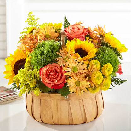 Harvest Sunflower Basket –  Talia Flowers, Ottawa ON