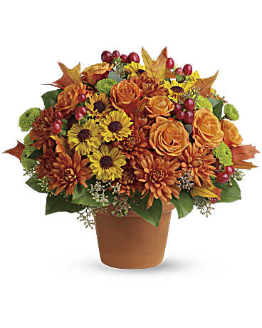 Sugar Maples –  Talia Flowers, Ottawa ON