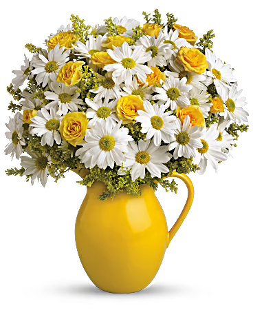 Teleflora's Sunny Day Pitcher of Daisies –  Talia Flowers, Ottawa ON