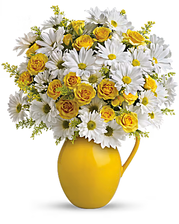 Teleflora's Sunny Day Pitcher of Daisies –  Talia Flowers, Ottawa ON