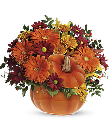 Teleflora's Country Pumpkin –  Talia Flowers, Ottawa ON