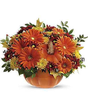 Teleflora's Country Pumpkin –  Talia Flowers, Ottawa ON